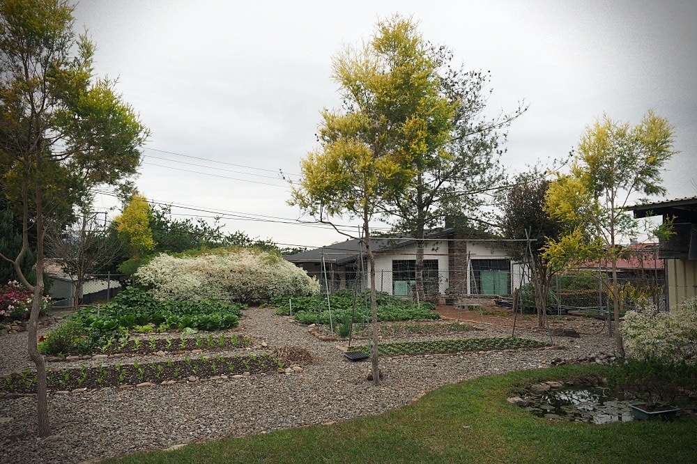 南投埔里 | Bakery Guo Guo菓菓烘焙。私宅貝果專賣店/埔里人氣甜點/網路宅配甜點