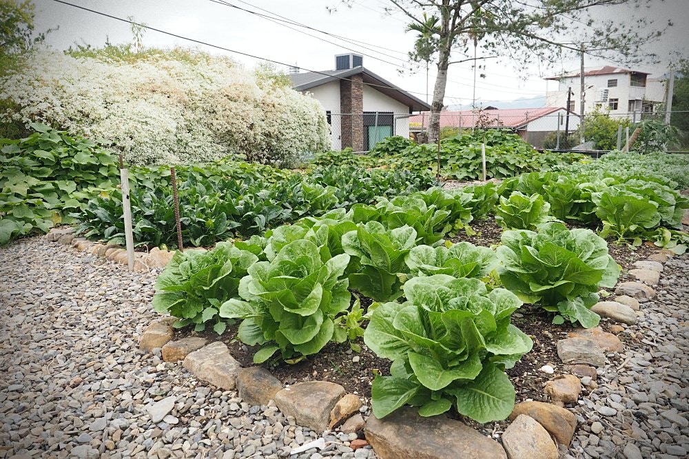 南投埔里 | Bakery Guo Guo菓菓烘焙。私宅貝果專賣店/埔里人氣甜點/網路宅配甜點