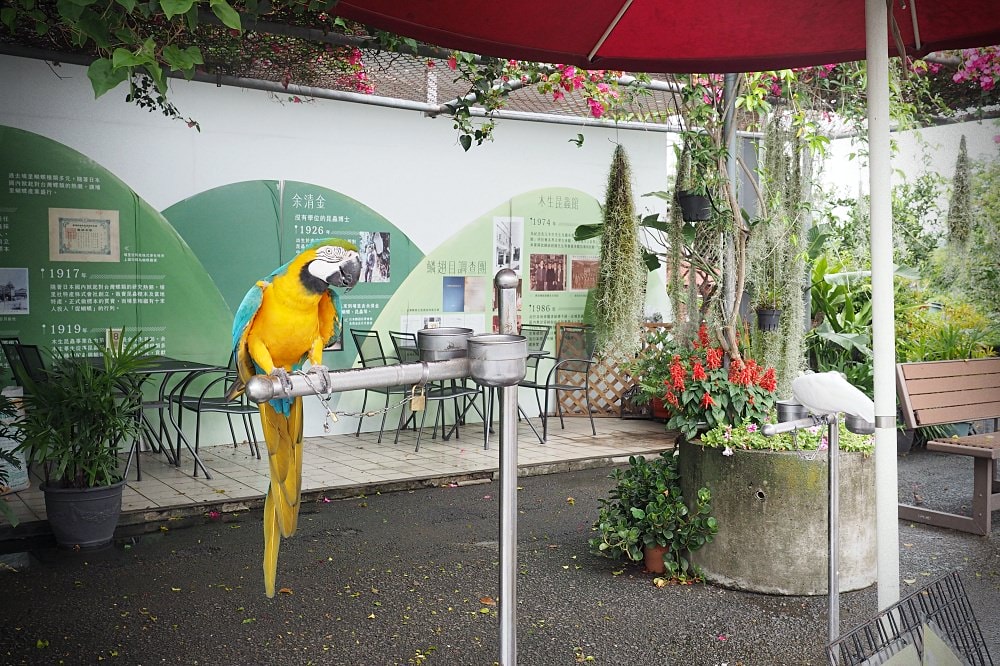 南投埔里 | 木生昆蟲博物館。蝴蝶小鎮生態休閒園區/昆蟲生態導覽/下雨避暑親子景點