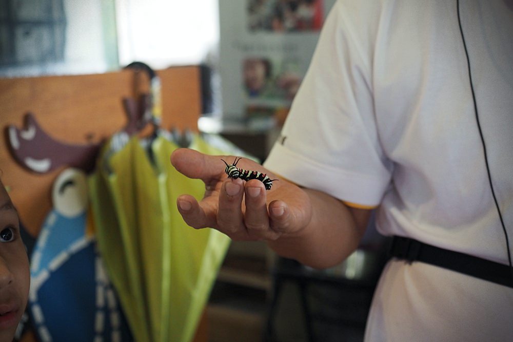 南投埔里 | 木生昆蟲博物館。蝴蝶小鎮生態休閒園區/昆蟲生態導覽/下雨避暑親子景點