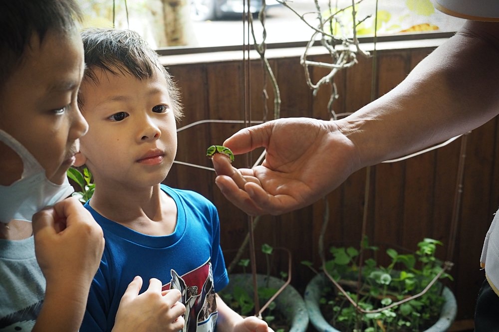 南投埔里 | 木生昆蟲博物館。蝴蝶小鎮生態休閒園區/昆蟲生態導覽/下雨避暑親子景點