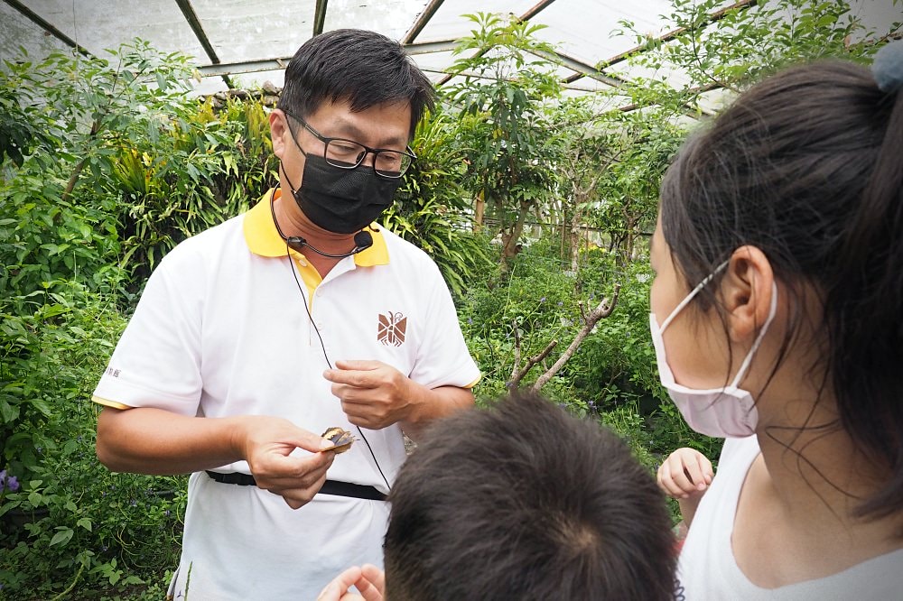 南投埔里 | 木生昆蟲博物館。蝴蝶小鎮生態休閒園區/昆蟲生態導覽/下雨避暑親子景點