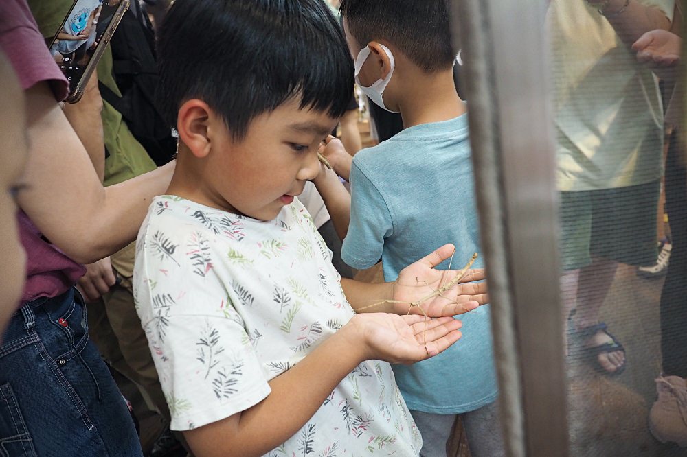 南投埔里 | 木生昆蟲博物館。蝴蝶小鎮生態休閒園區/昆蟲生態導覽/下雨避暑親子景點