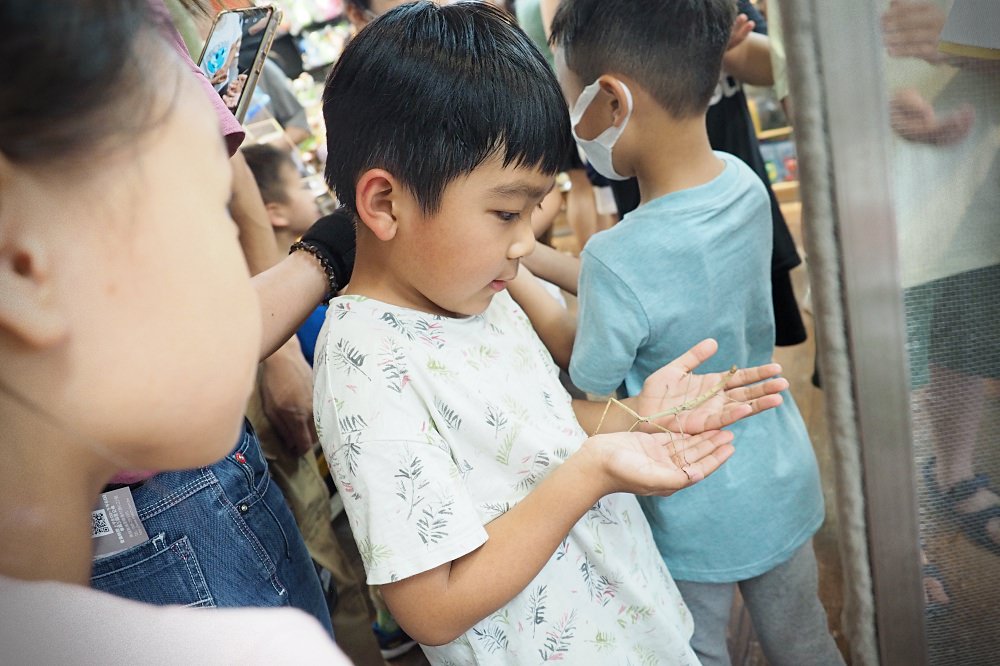 南投埔里 | 木生昆蟲博物館。蝴蝶小鎮生態休閒園區/昆蟲生態導覽/下雨避暑親子景點