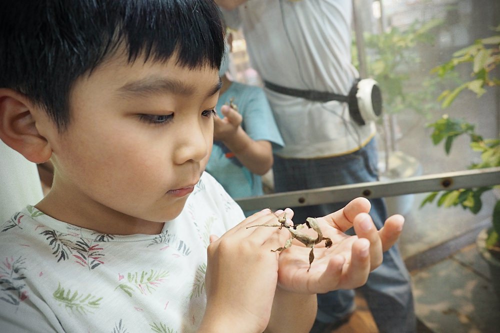 南投埔里 | 木生昆蟲博物館。蝴蝶小鎮生態休閒園區/昆蟲生態導覽/下雨避暑親子景點