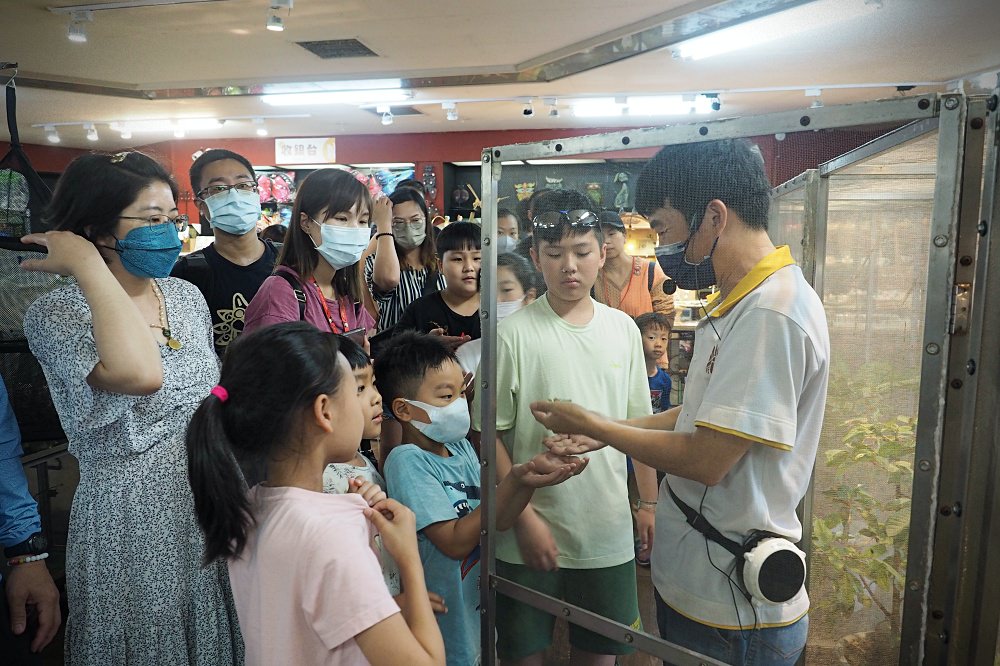 南投埔里 | 木生昆蟲博物館。蝴蝶小鎮生態休閒園區/昆蟲生態導覽/下雨避暑親子景點