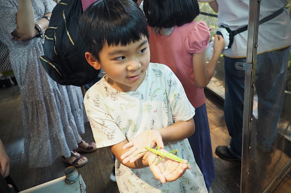 南投埔里 | 木生昆蟲博物館。蝴蝶小鎮生態休閒園區/昆蟲生態導覽/下雨避暑親子景點