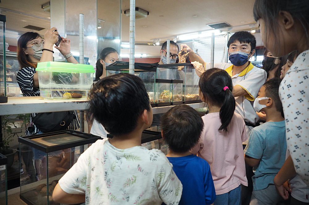 南投埔里 | 木生昆蟲博物館。蝴蝶小鎮生態休閒園區/昆蟲生態導覽/下雨避暑親子景點