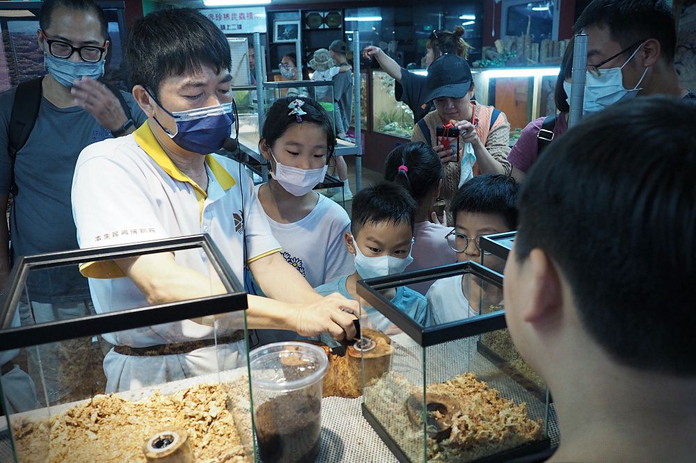 南投埔里 | 木生昆蟲博物館。蝴蝶小鎮生態休閒園區/昆蟲生態導覽/下雨避暑親子景點