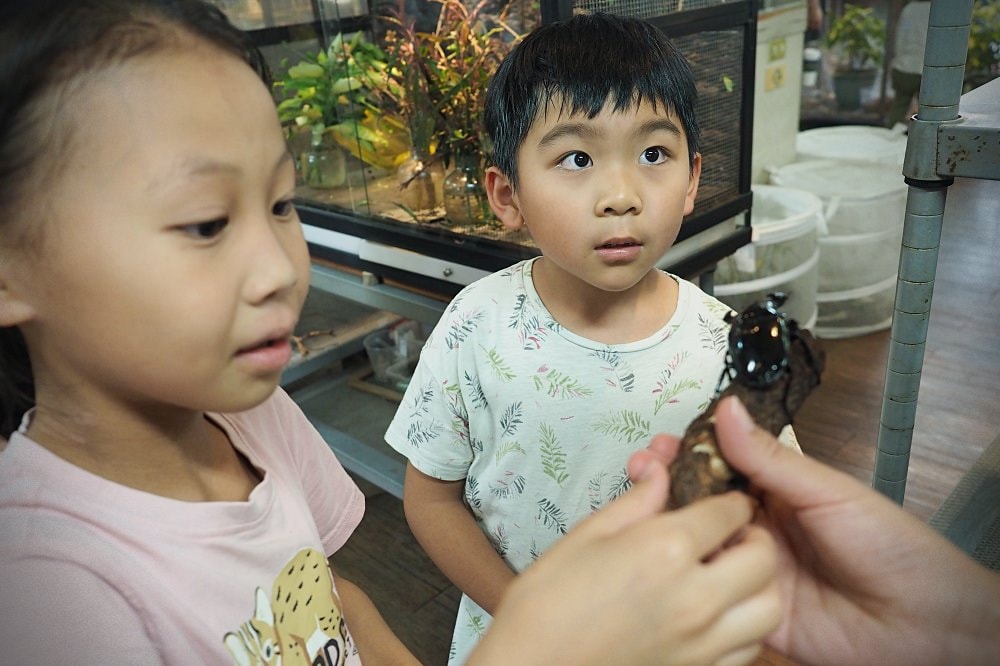南投埔里 | 木生昆蟲博物館。蝴蝶小鎮生態休閒園區/昆蟲生態導覽/下雨避暑親子景點