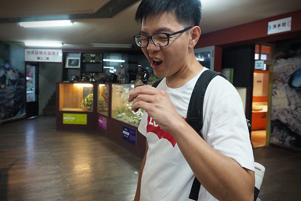 南投埔里 | 木生昆蟲博物館。蝴蝶小鎮生態休閒園區/昆蟲生態導覽/下雨避暑親子景點
