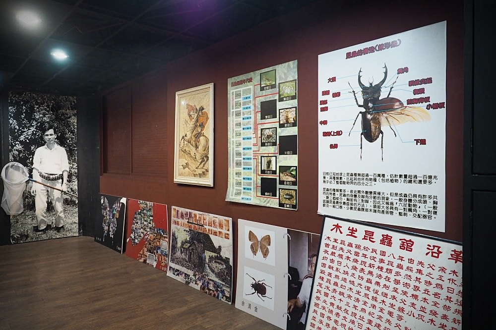 南投埔里 | 木生昆蟲博物館。蝴蝶小鎮生態休閒園區/昆蟲生態導覽/下雨避暑親子景點