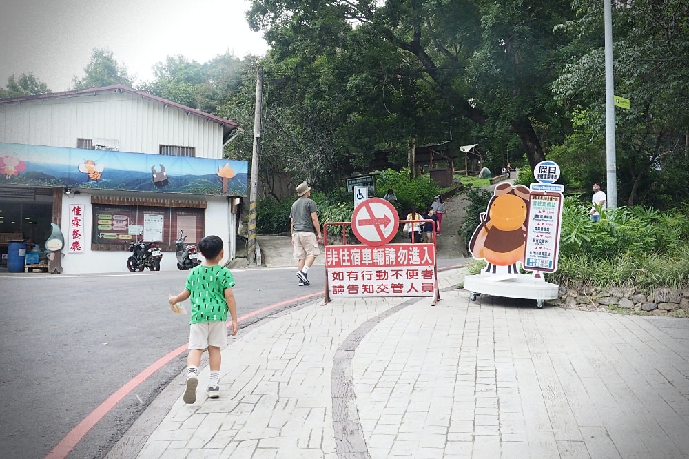 台中東勢 | 東勢林場遊樂區。賞螢賞櫻勝地/森林親子景點/超人氣體能訓練場