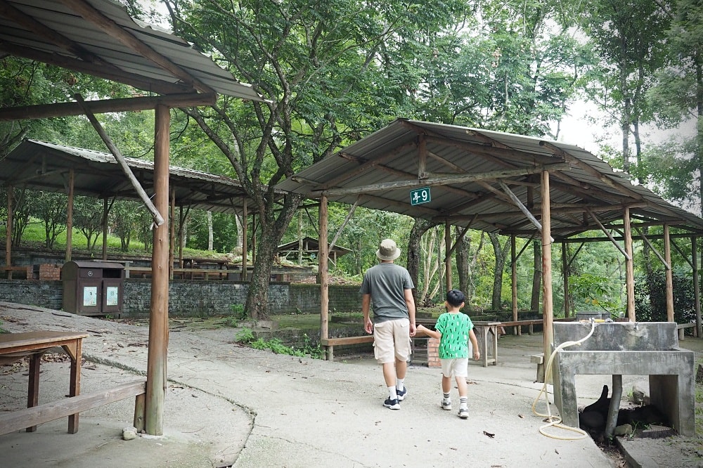 台中東勢 | 東勢林場遊樂區。賞螢賞櫻勝地/森林親子景點/超人氣體能訓練場