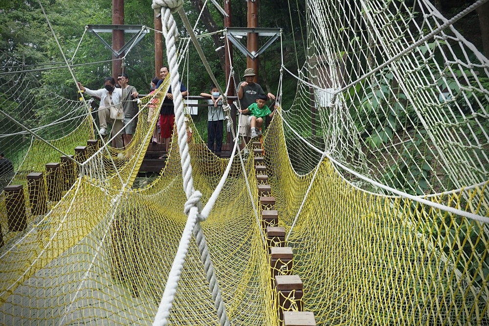 台中東勢 | 東勢林場遊樂區。賞螢賞櫻勝地/森林親子景點/超人氣體能訓練場
