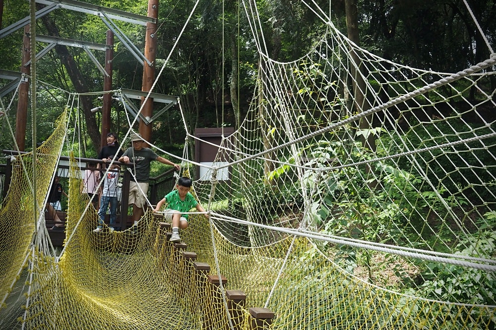 台中東勢 | 東勢林場遊樂區。賞螢賞櫻勝地/森林親子景點/超人氣體能訓練場