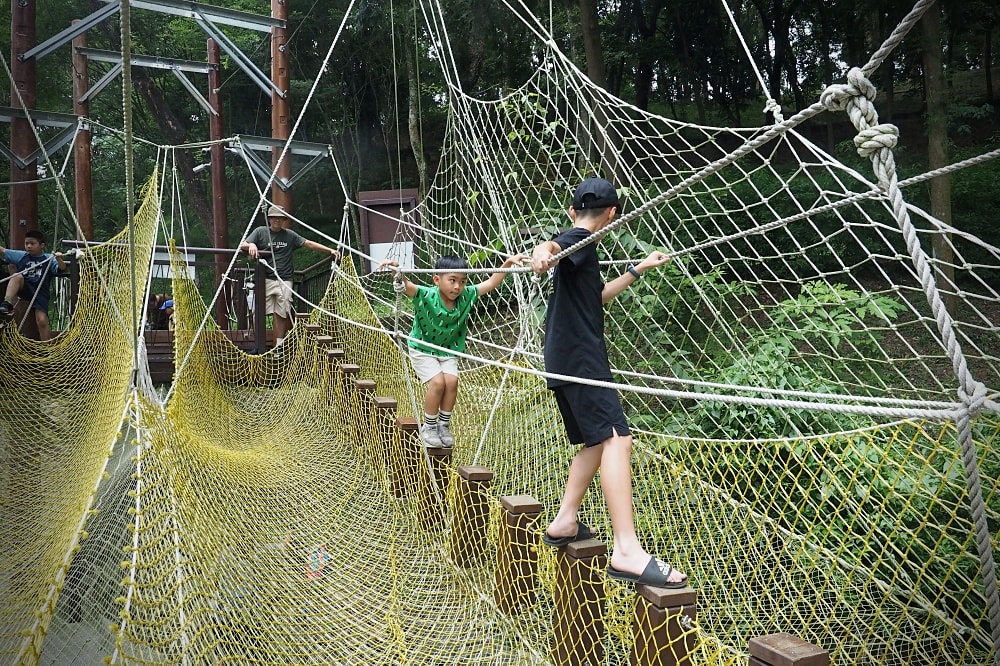 台中東勢 | 東勢林場遊樂區。賞螢賞櫻勝地/森林親子景點/超人氣體能訓練場