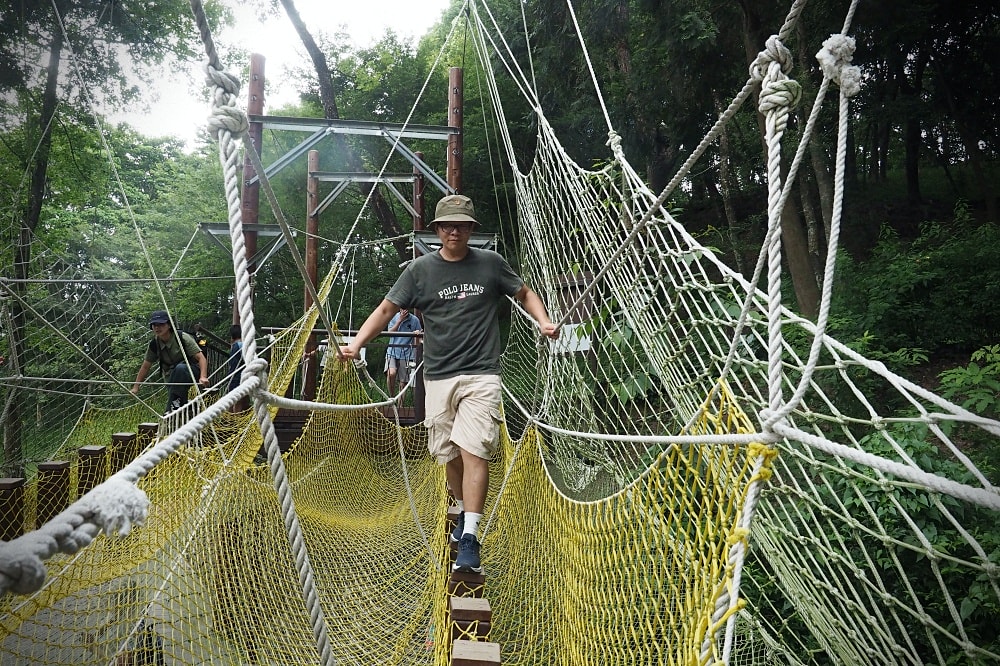 台中東勢 | 東勢林場遊樂區。賞螢賞櫻勝地/森林親子景點/超人氣體能訓練場