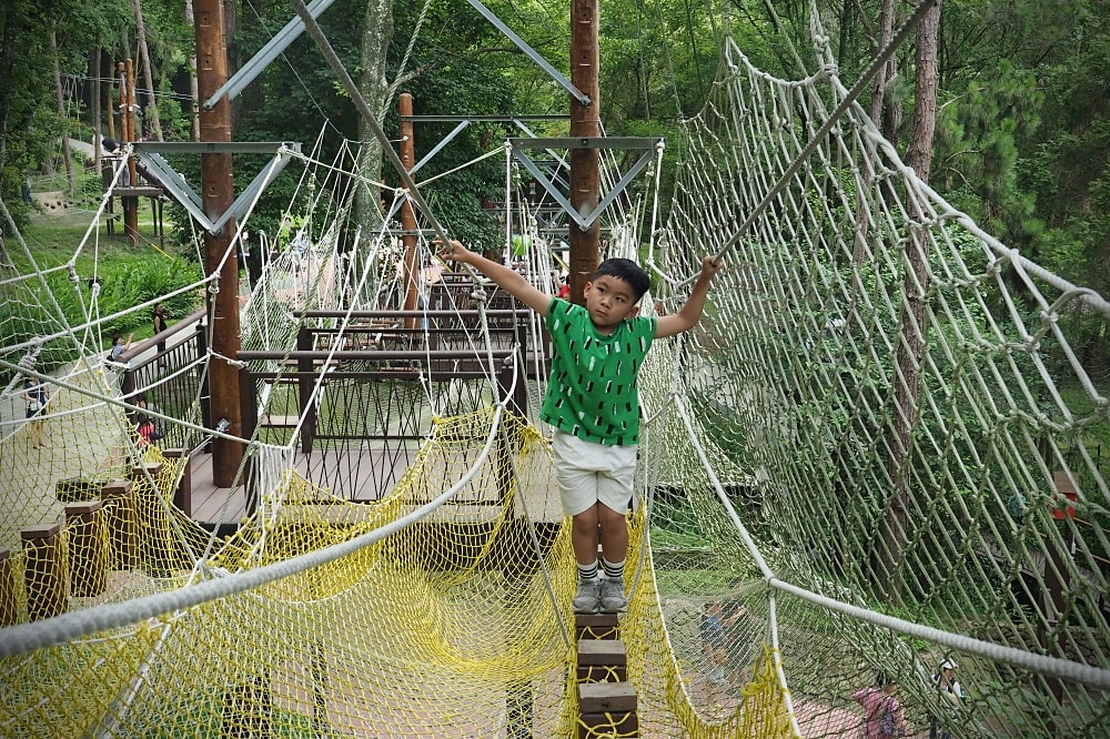 台中東勢 | 東勢林場遊樂區。賞螢賞櫻勝地/森林親子景點/超人氣體能訓練場
