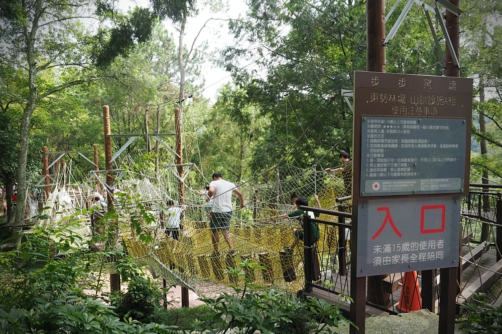 台中東勢 | 東勢林場遊樂區。賞螢賞櫻勝地/森林親子景點/超人氣體能訓練場