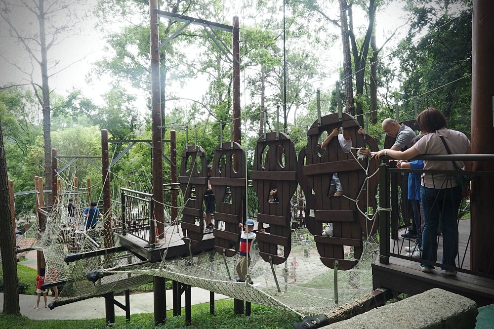 台中東勢 | 東勢林場遊樂區。賞螢賞櫻勝地/森林親子景點/超人氣體能訓練場