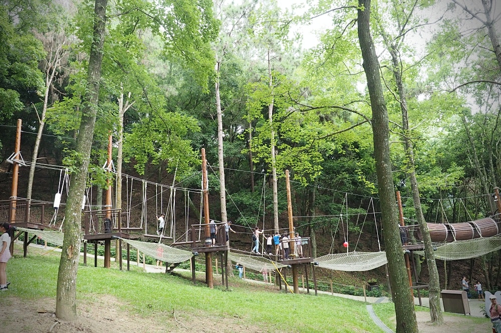 台中東勢 | 東勢林場遊樂區。賞螢賞櫻勝地/森林親子景點/超人氣體能訓練場