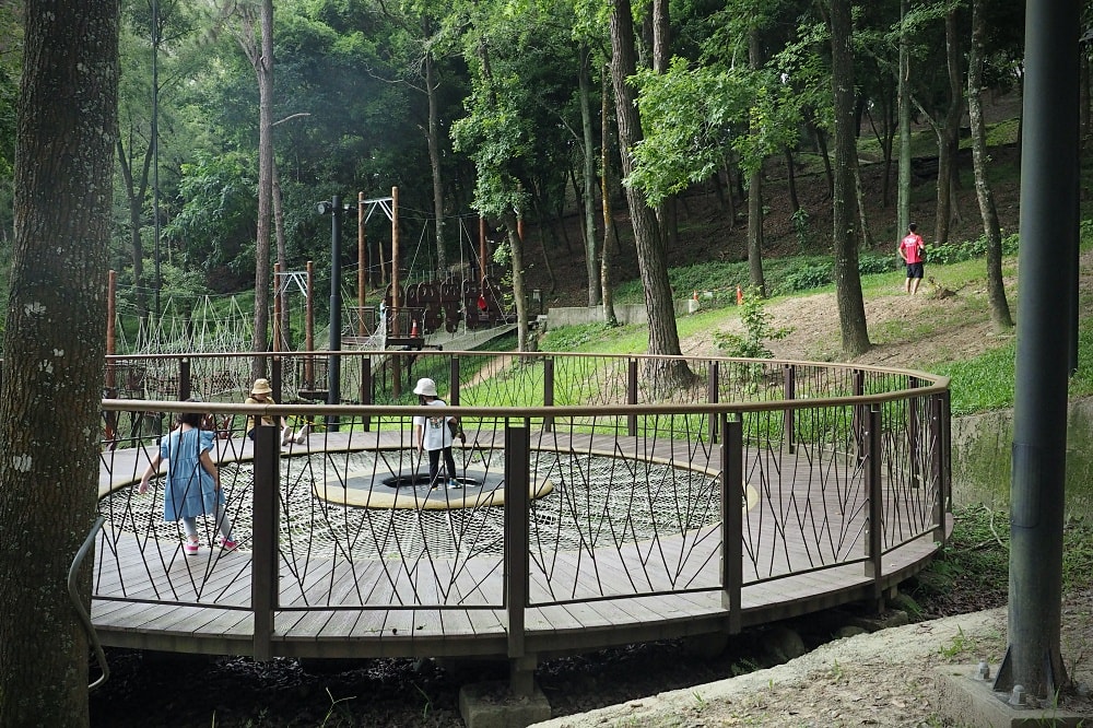 台中東勢 | 東勢林場遊樂區。賞螢賞櫻勝地/森林親子景點/超人氣體能訓練場