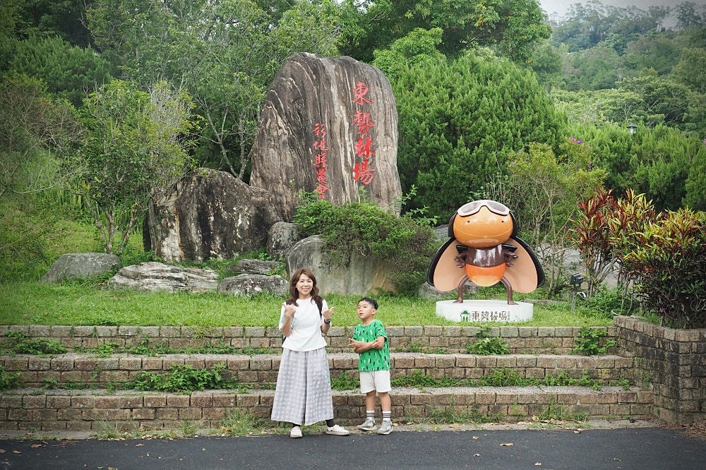 台中東勢 | 東勢林場遊樂區。賞螢賞櫻勝地/森林親子景點/超人氣體能訓練場