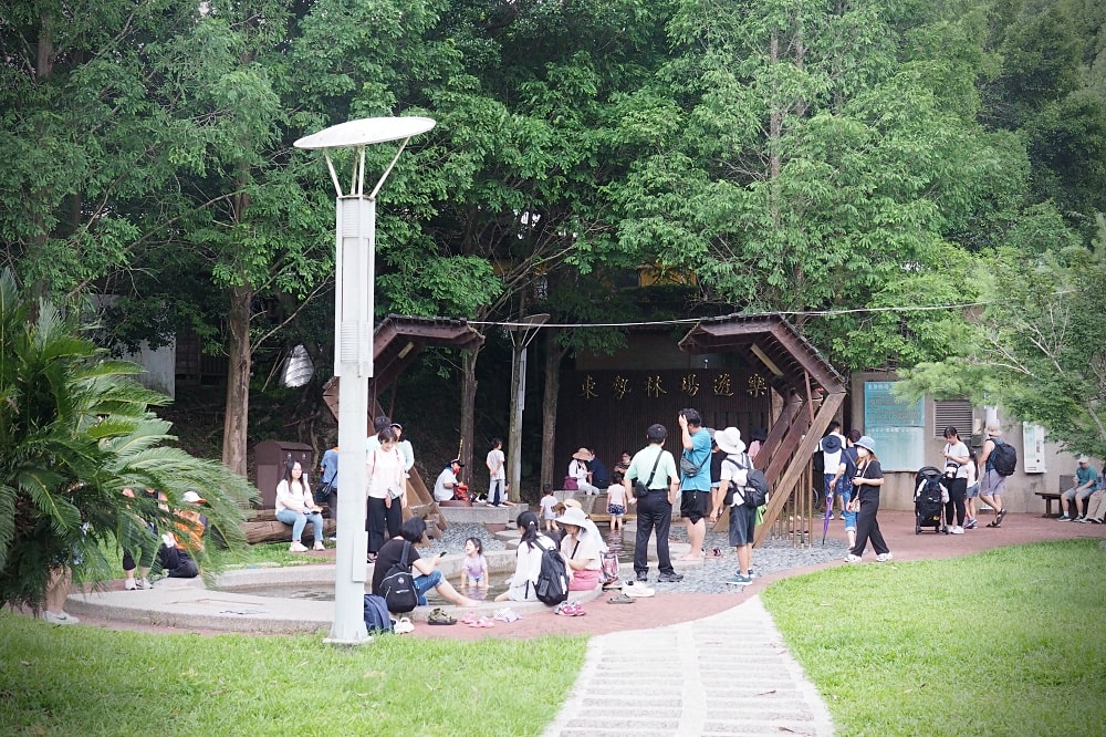 台中東勢 | 東勢林場遊樂區。賞螢賞櫻勝地/森林親子景點/超人氣體能訓練場