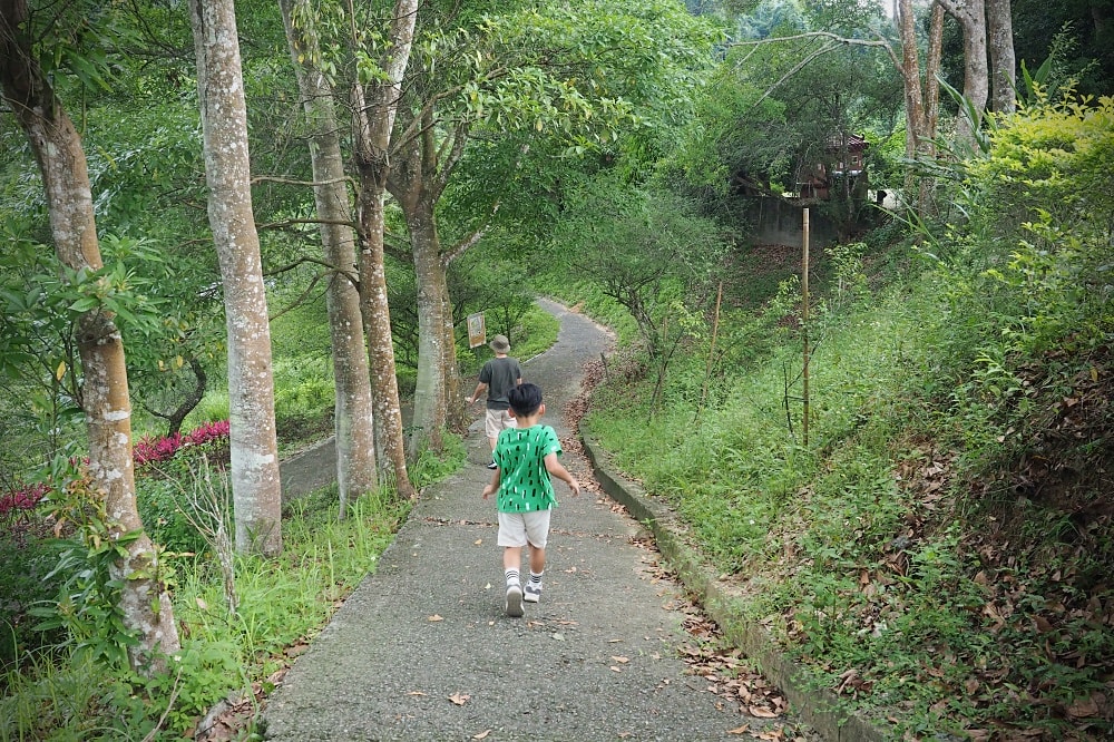 台中東勢 | 東勢林場遊樂區。賞螢賞櫻勝地/森林親子景點/超人氣體能訓練場