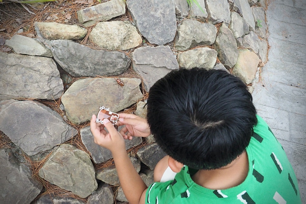 台中東勢 | 東勢林場遊樂區。賞螢賞櫻勝地/森林親子景點/超人氣體能訓練場