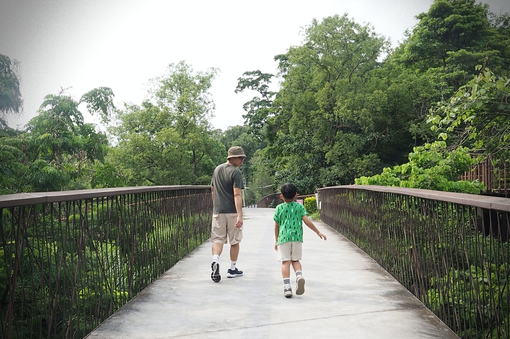 台中東勢 | 東勢林場遊樂區。賞螢賞櫻勝地/森林親子景點/超人氣體能訓練場