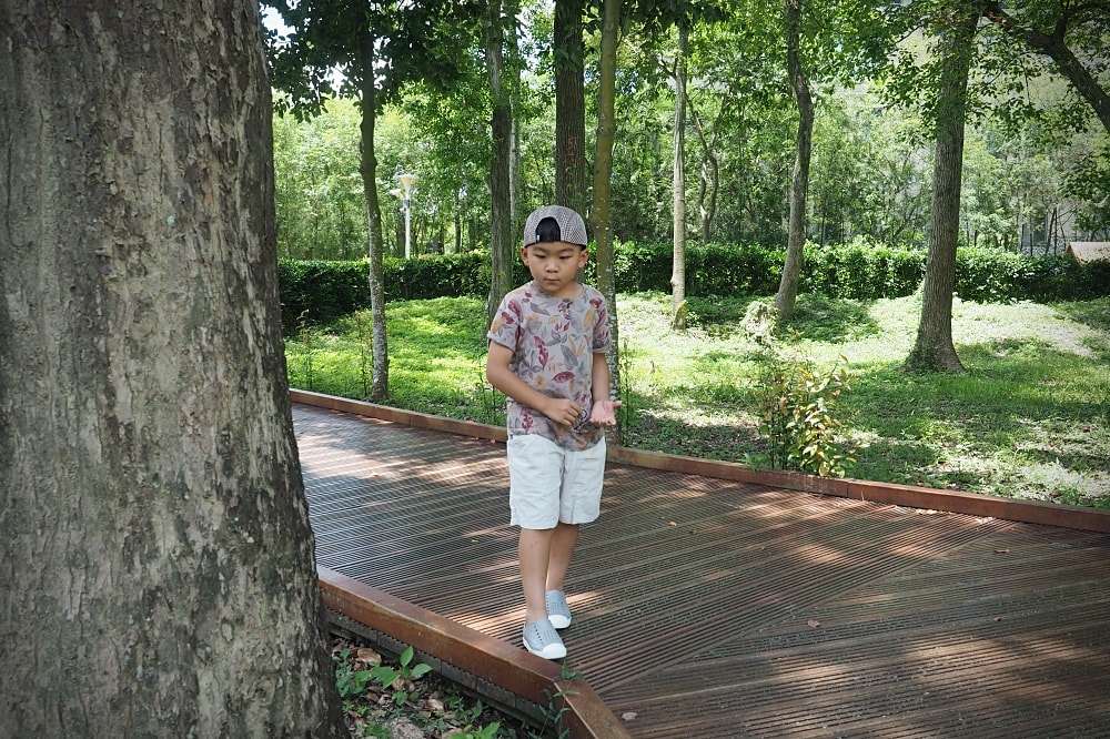 台中東勢 | 東勢林業文化園區。林業史蹟博物館/生態保育環湖步道/免門票觀光景點 - 第6張圖 台中東勢 | 東勢林業文化園區。林業史蹟博物館/生態保育環湖步道/免門票觀光景點