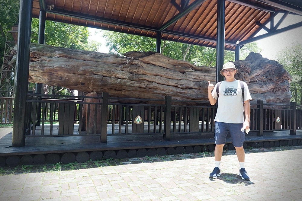 台中東勢 | 東勢林業文化園區。林業史蹟博物館/生態保育環湖步道/免門票觀光景點 - 第8張圖 台中東勢 | 東勢林業文化園區。林業史蹟博物館/生態保育環湖步道/免門票觀光景點