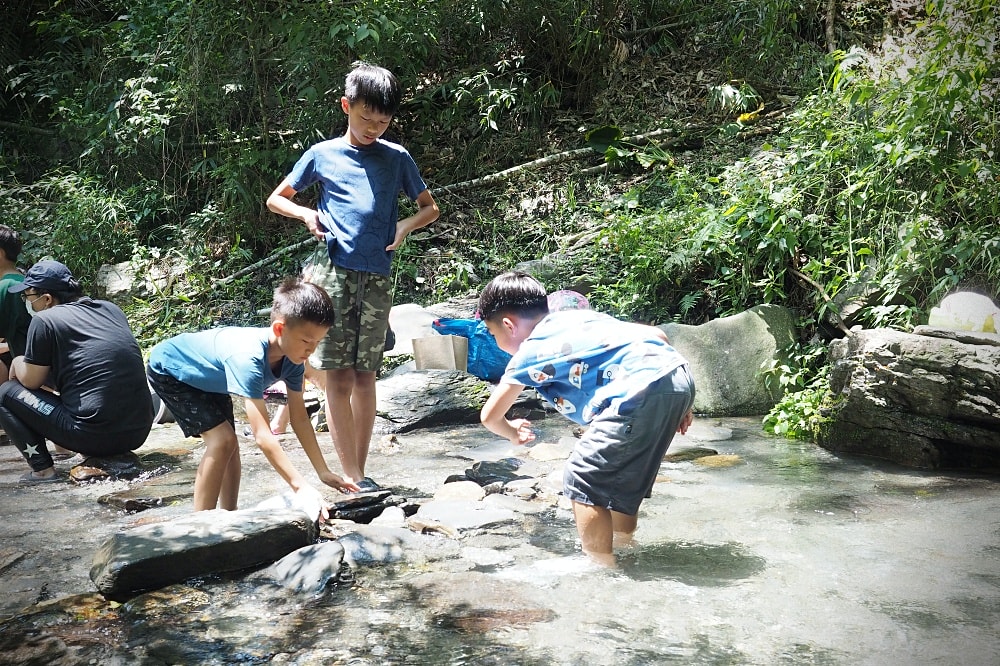 南投埔里 | 彩蝶瀑布。夏日免費消暑勝地/親子戲水私房景點/新手溯溪體驗