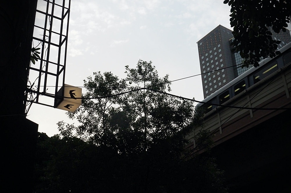 台北大安 | passer。季節水果戚風/敦化商圈老宅/捷運六張犁站