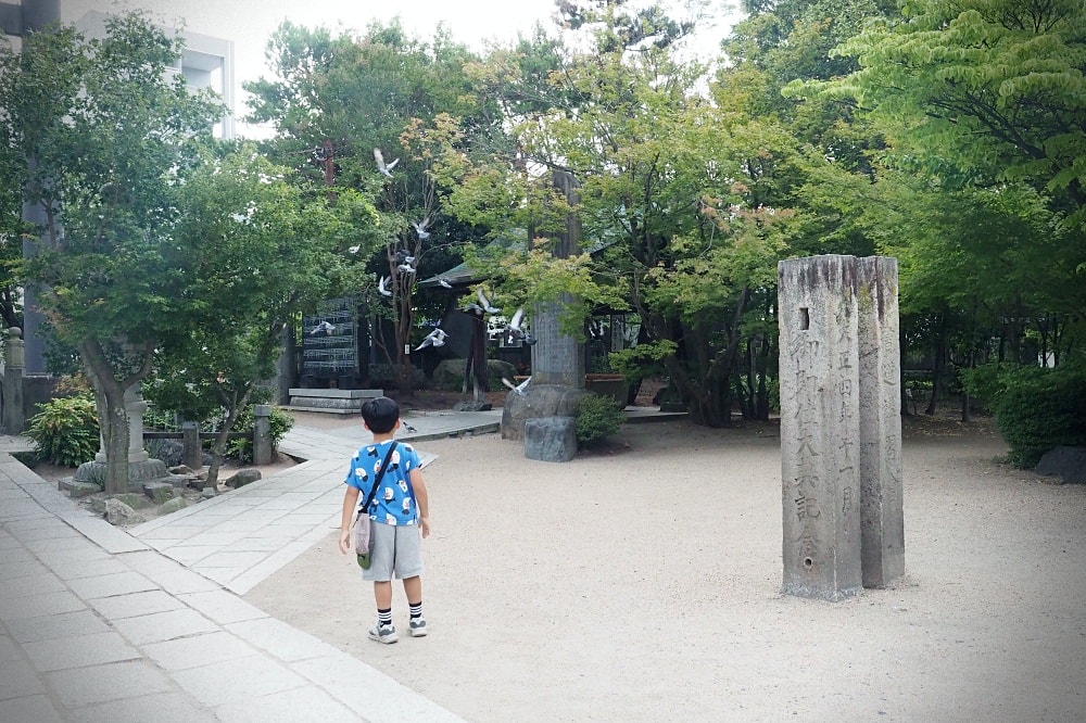 長野松本 | 松本市周邊散策。春夏秋冬布丁、竹風堂銅鑼燒/國寶松本城/四柱神社