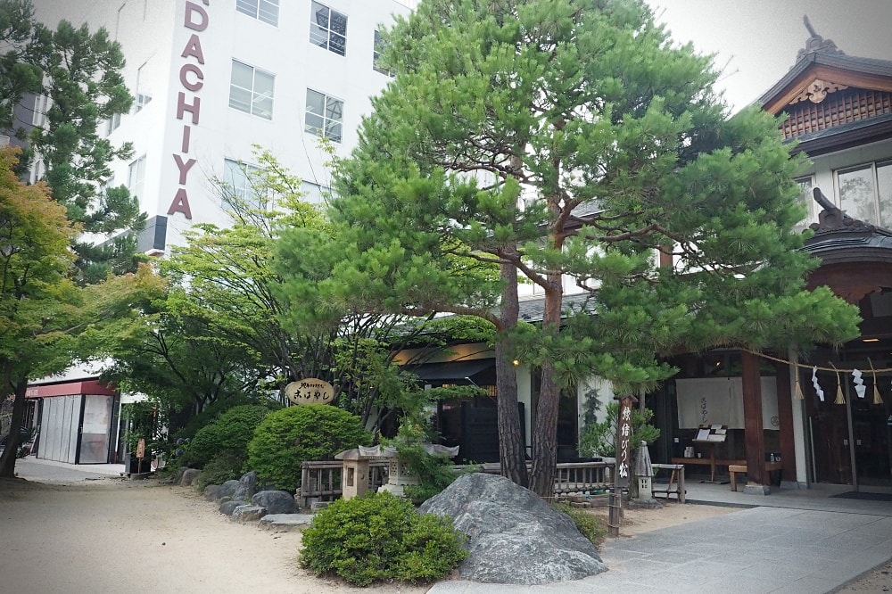 長野松本 | 松本市周邊散策。春夏秋冬布丁、竹風堂銅鑼燒/國寶松本城/四柱神社