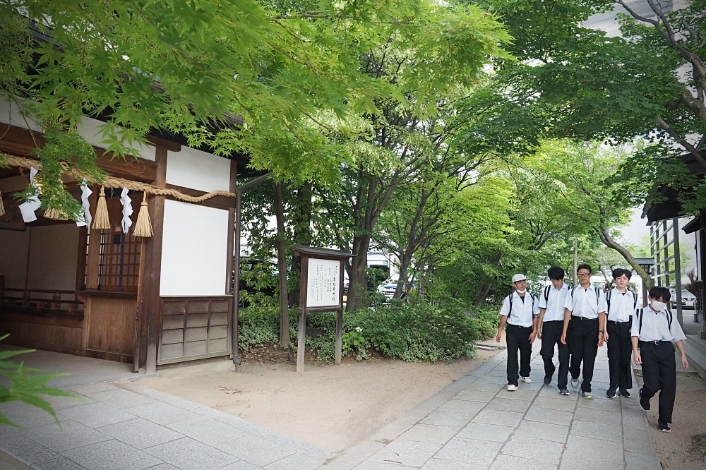 長野松本 | 松本市周邊散策。春夏秋冬布丁、竹風堂銅鑼燒/國寶松本城/四柱神社