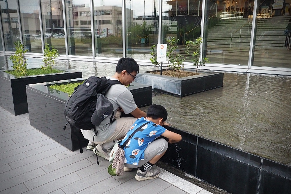 長野松本 | 松本市周邊散策。春夏秋冬布丁、竹風堂銅鑼燒/國寶松本城/四柱神社