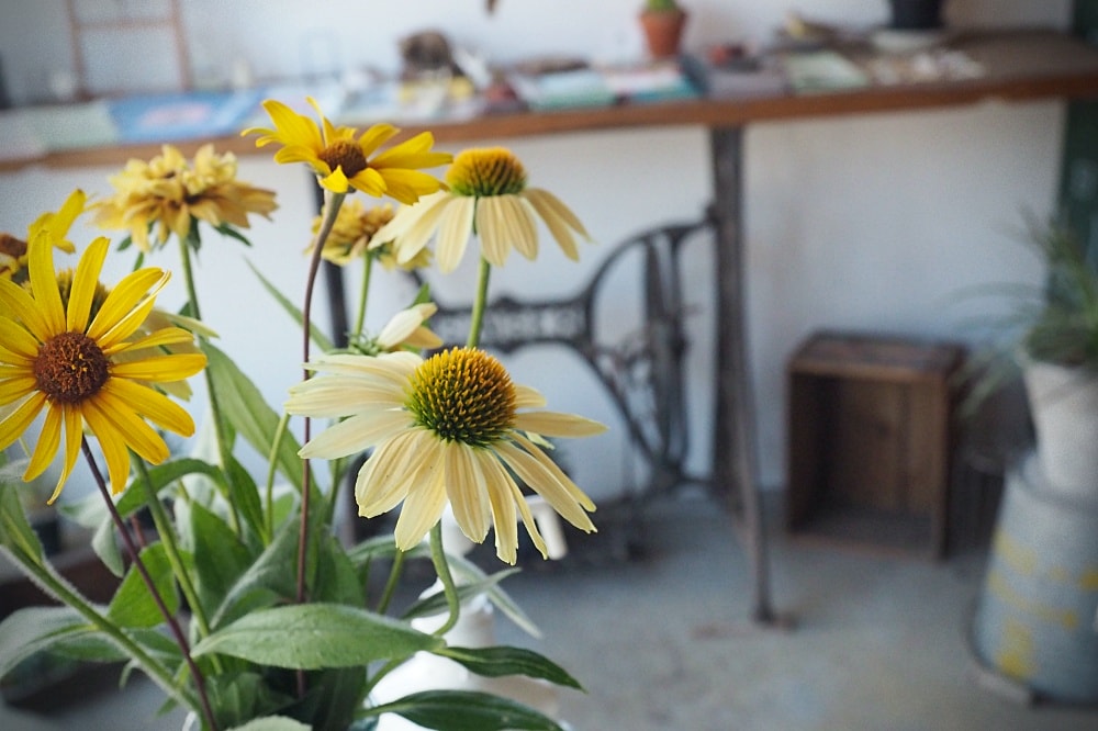 長野諏訪 | Eric’s Kitchen。創意家常料理/輕食甜點飲品/下諏訪車站咖啡店