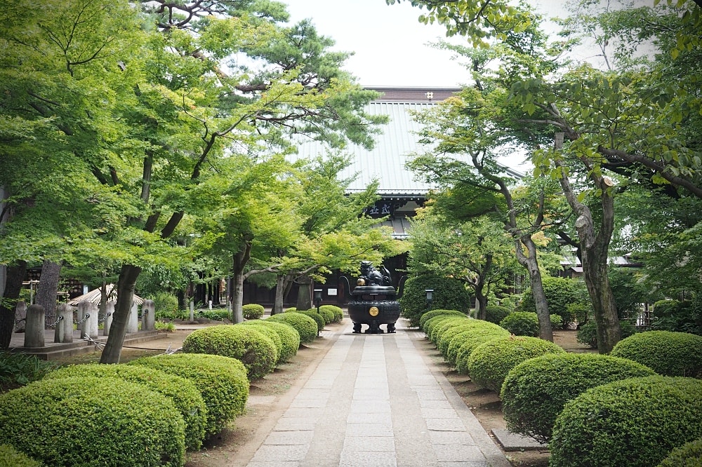 東京世田谷 | 豪德寺。招福貓神社/愛貓控必訪景點/東京人氣特色神社