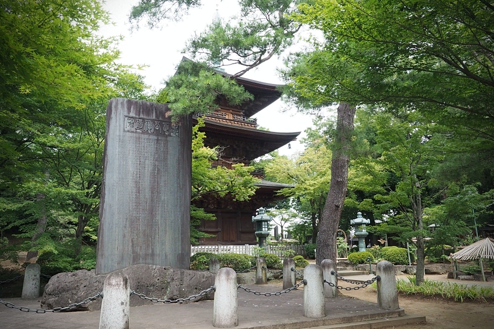 東京世田谷 | 豪德寺。招福貓神社/愛貓控必訪景點/東京人氣特色神社