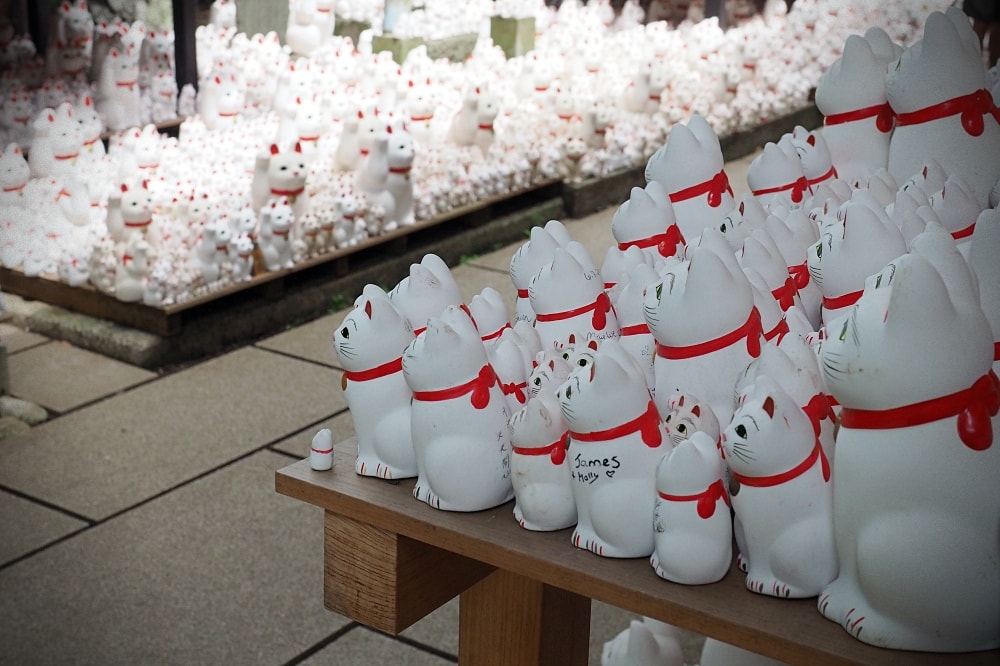 東京世田谷 | 豪德寺。招福貓神社/愛貓控必訪景點/東京人氣特色神社