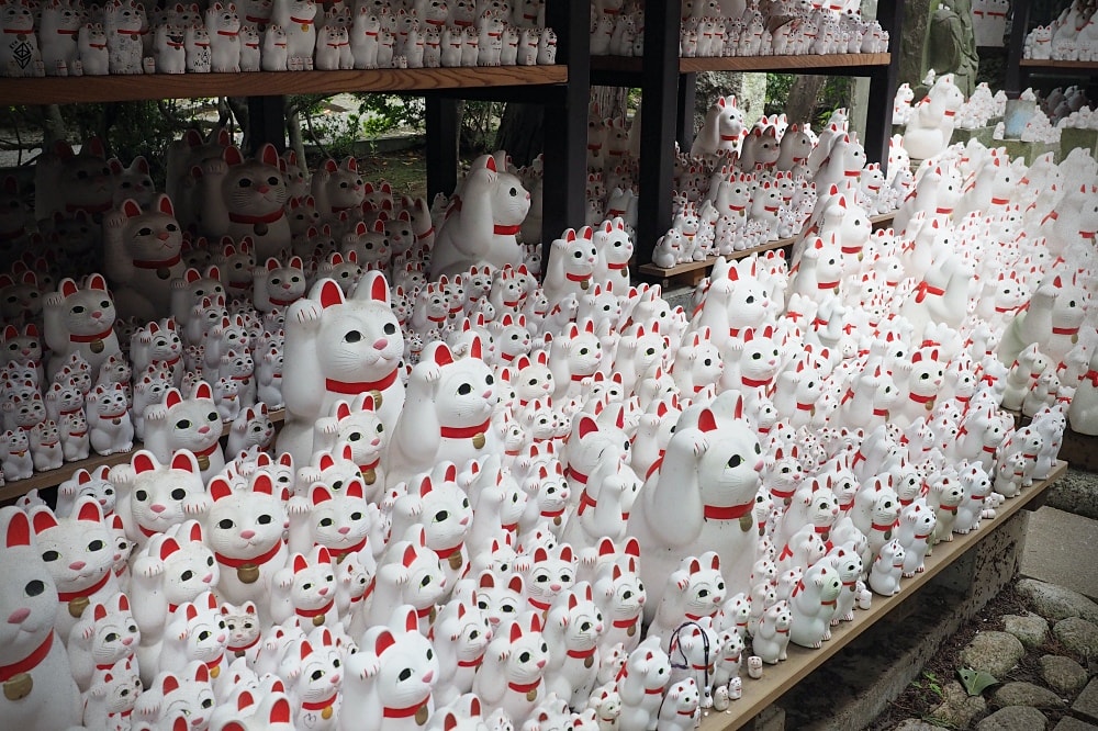 東京世田谷 | 豪德寺。招福貓神社/愛貓控必訪景點/東京人氣特色神社