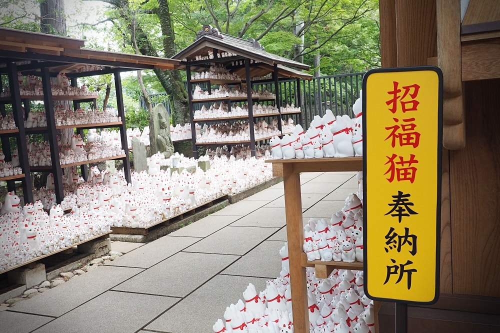 東京世田谷 | 豪德寺。招福貓神社/愛貓控必訪景點/東京人氣特色神社