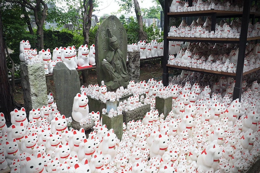 東京世田谷 | 豪德寺。招福貓神社/愛貓控必訪景點/東京人氣特色神社