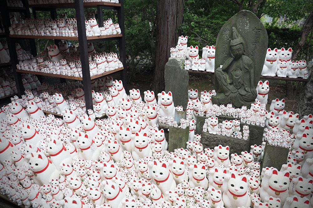 東京世田谷 | 豪德寺。招福貓神社/愛貓控必訪景點/東京人氣特色神社