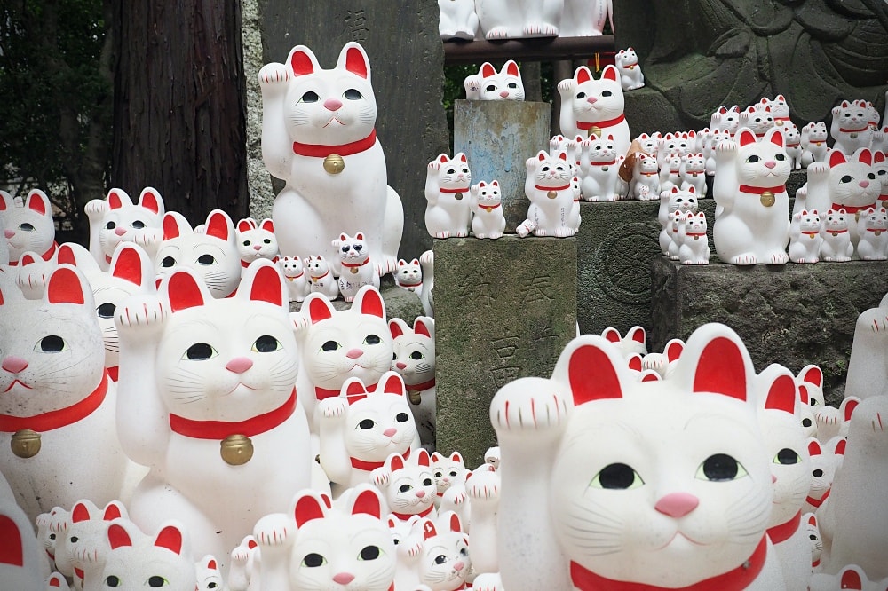 東京世田谷 | 豪德寺。招福貓神社/愛貓控必訪景點/東京人氣特色神社
