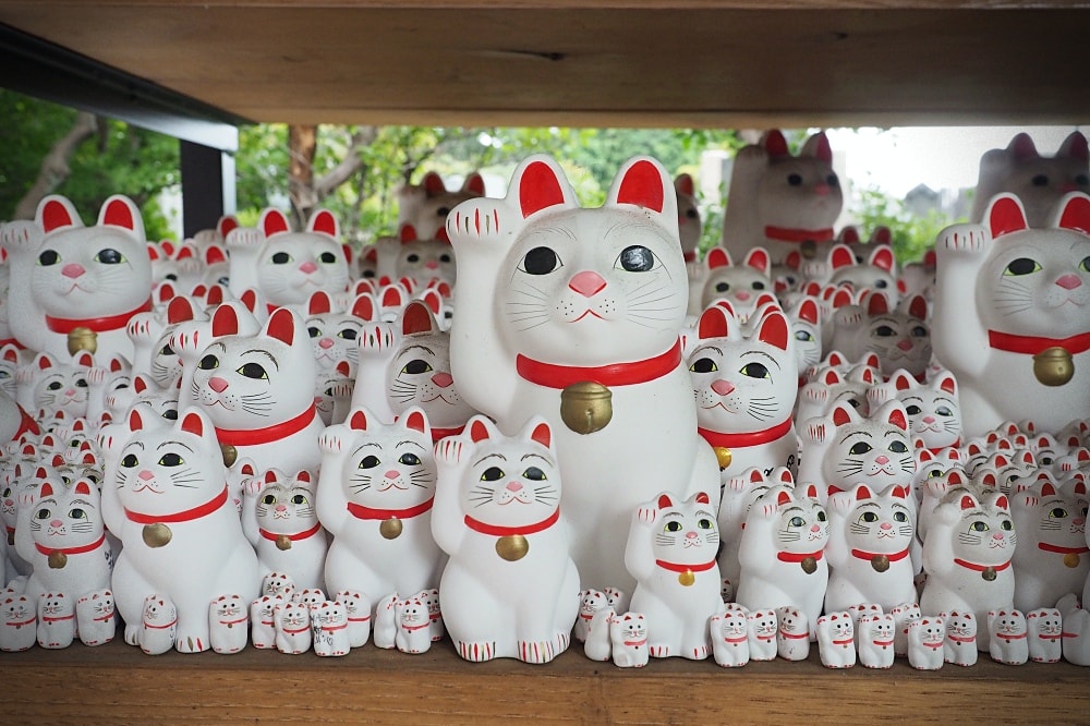 東京世田谷 | 豪德寺。招福貓神社/愛貓控必訪景點/東京人氣特色神社